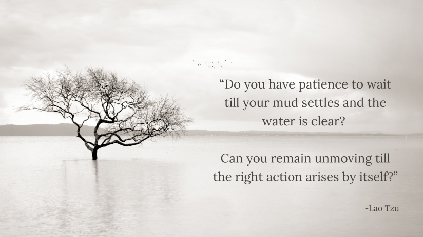 Embracing Stillness: The Power of Patience and&nbsp;Self-Reflection